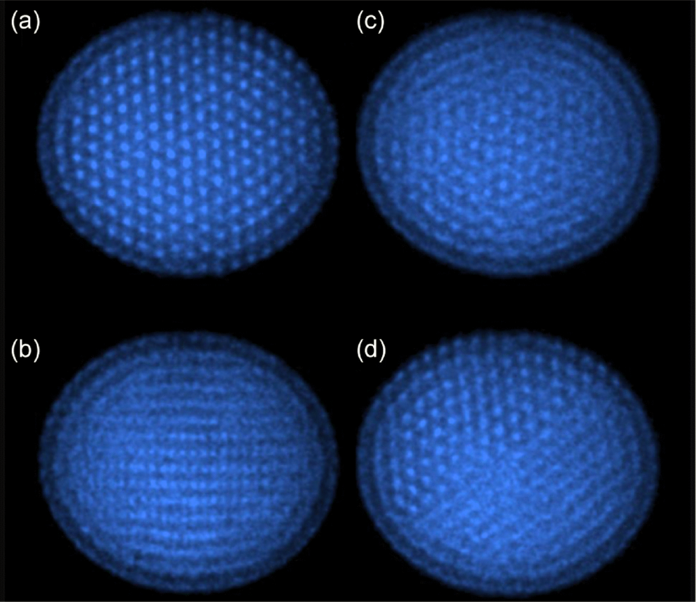 Ion Coulomb crystals: An exotic form of condensed matter | Rev